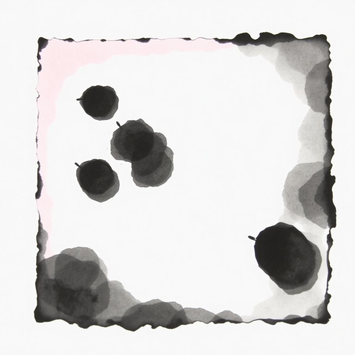 BLOOM — Archival pigment print on cotton rag